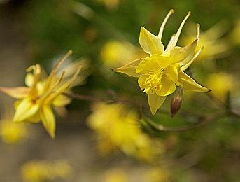 《使命召唤：黑色行动6》第一赛季11月14日开启 大量内容更新